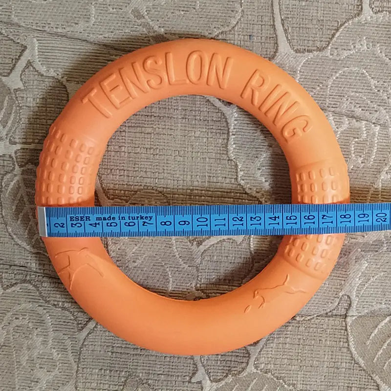 Interactive EVA Training Ring